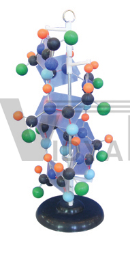 The demo model of protein (1part)